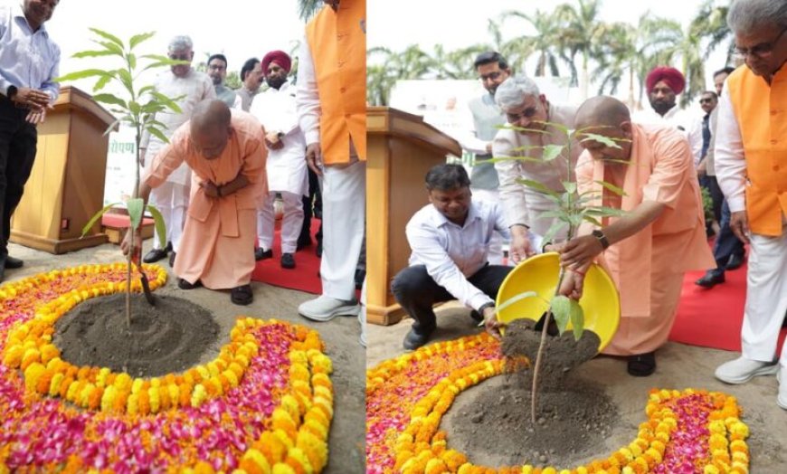 सीएम योगी ने अपने आवास पर लगाया एक पेड़ मां के नाम