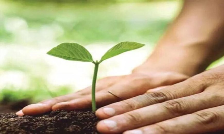 पर्यावरण दिवस पर यूपी ने पूरा किया 5 करोड़ पौधे लगाने का लक्ष्य