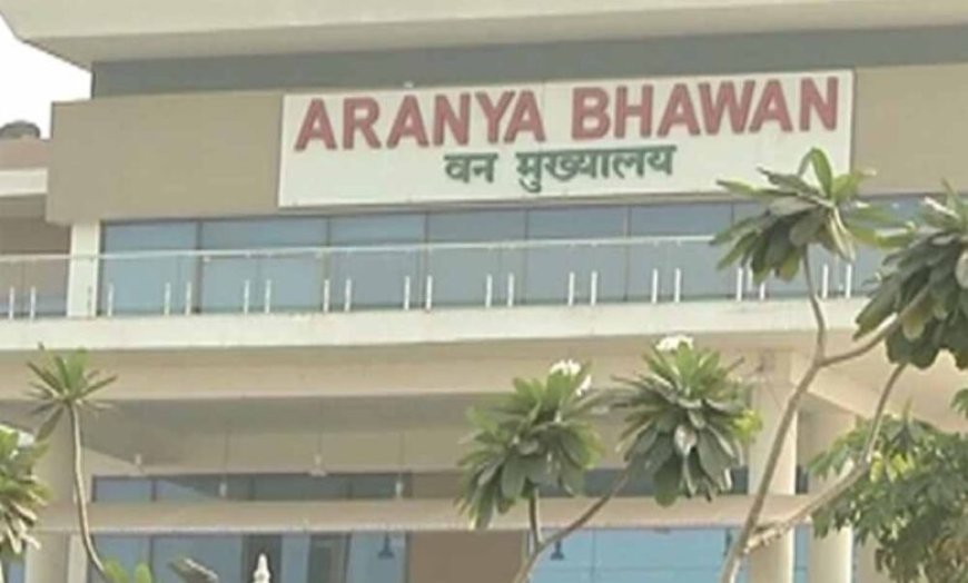 छत्तीसगढ़ वन विभाग में बड़ा फेरबदल, चार वरिष्ठ IFS अधिकारियों को मिली नई जिम्मेदारी