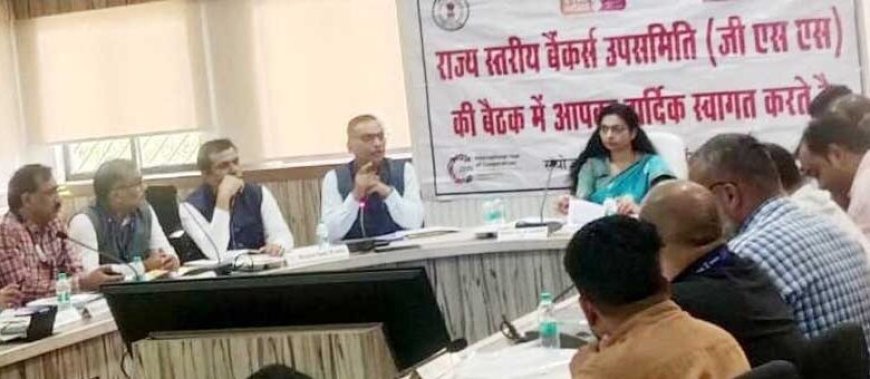 छत्तीसगढ़ जनहितैषी योजनाओं के लोन प्रकरणों को जल्द स्वीकृत करें बैंकर्स