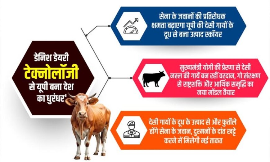 डेनिश डेयरी टेक्नोलॉजी से देसी गायों के दूध के उत्पाद बना यूपी बना देश का ‘धुरंधर’