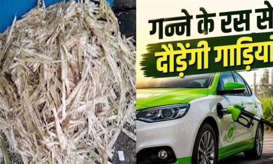 पेट्रोल-डीजल को मिलेगी टक्कर! गन्ने से बने ईंधन पर दौड़ेंगी गाड़ियां, MP के किसानों को होगा बड़ा फायदा