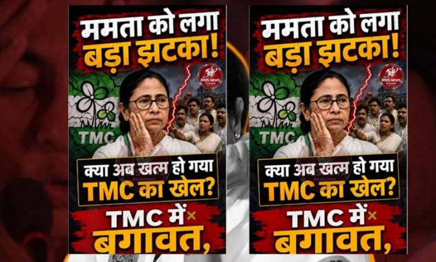 दल-बदल कानून में अटल सरकार का बदलाव भी नहीं बचा पाएगा TMC को? 28 में 20 सांसद बागी खेमे में