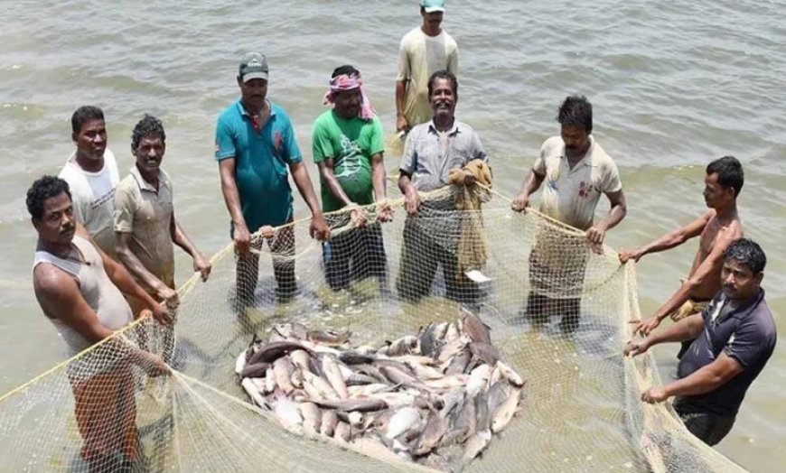 15 अगस्त तक मछली पकड़ने पर प्रतिबंध, प्रजनन काल में संरक्षण पर जोर