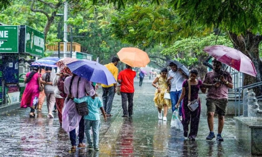 Weather Update: 17 राज्यों में भारी बारिश का अलर्ट, चक्रवाती तूफान की चेतावनी; मॉनसून ने पकड़ी रफ्तार