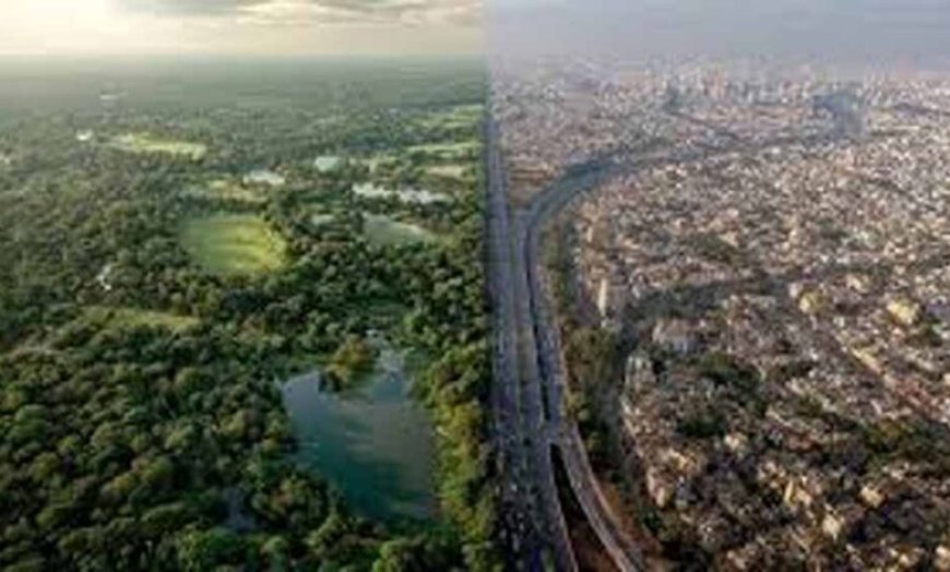 32 साल में सेंट्रल दिल्ली ने खोया 74 प्रतिशत बेहतर पर्यावरणीय क्षेत्र