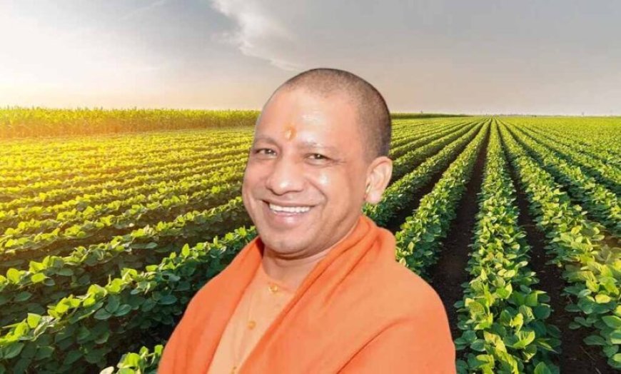 यूपी में ‘जहर मुक्त भोजन’ अभियान की तैयारी, गोशालाएं बनेंगी सप्लाई सेंटर