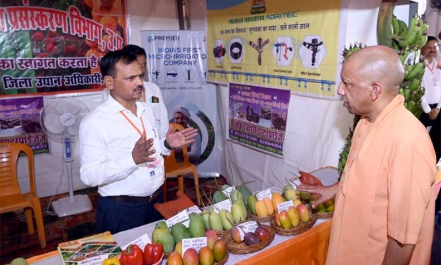 कुछ लोग गाय का दूध पिएंगे और सड़क पर छोड़ देंगे, जब वह फसल का नुकसान करेगी तो दोष मुझे देंगे: सीएम योगी