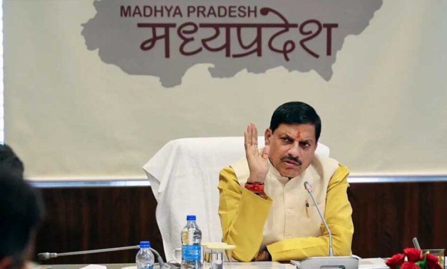 वन पर्यटन का करें विस्तार, पर्यटकों के लिये बढ़ाएं सुविधाएं : मुख्यमंत्री डॉ. यादव आंध्रप्रदेश को देंगे बाघ और गौर, बदले में उनसे लेंगे वाइल्ड डॉग्स