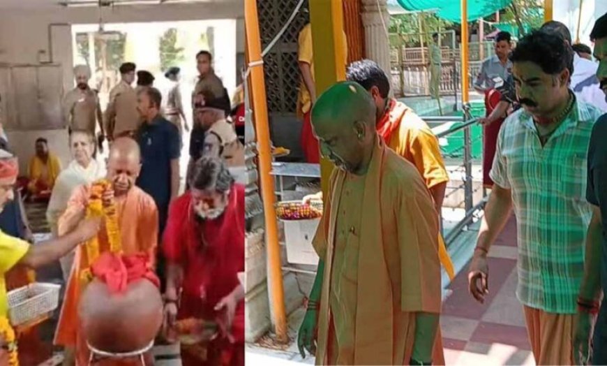 दतिया के पीतांबरा पीठ पहुंचे CM योगी और डिप्टी CM मौर्य, विधि-विधान से की पूजा-अर्चना