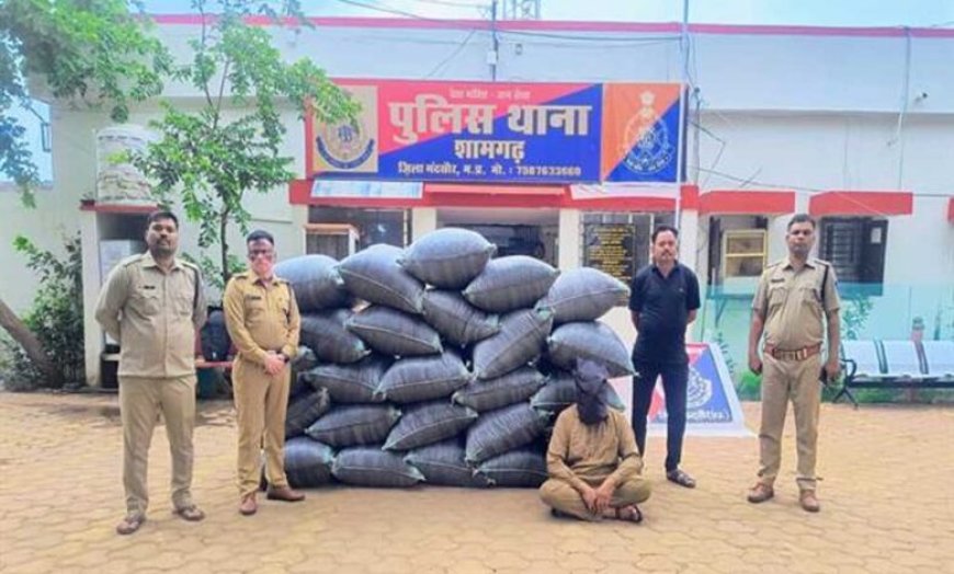 विगत 10 दिनों में 2 करोड़ 90 लाख रूपए से अधिक मूल्य के मादक पदार्थ एवं अन्य संपत्ति जब्त