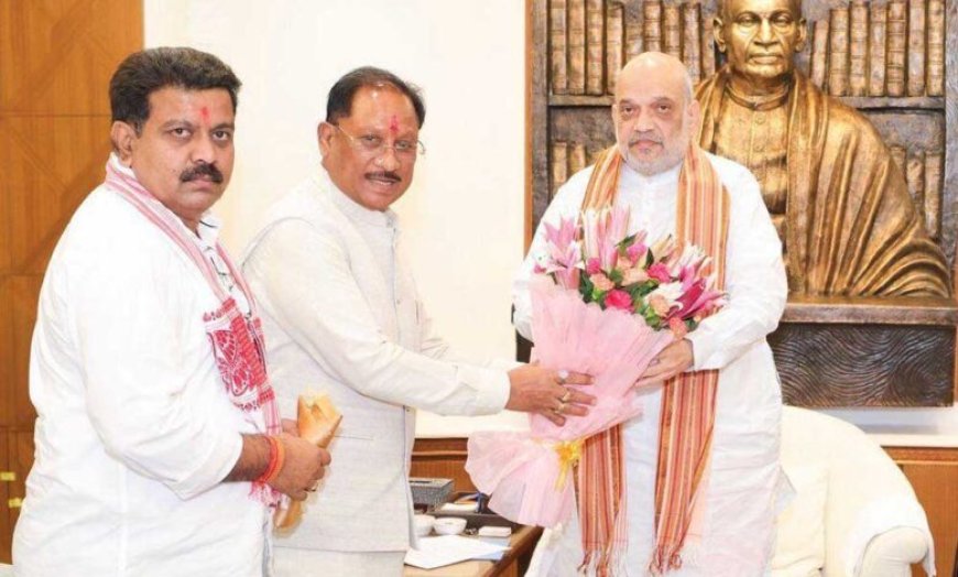 छत्तीसगढ़ में अखिल भारतीय आयुर्वेद संस्थान के स्थापना का प्रस्ताव, अमित शाह से मिले मुख्यमंत्री विष्णुदेव