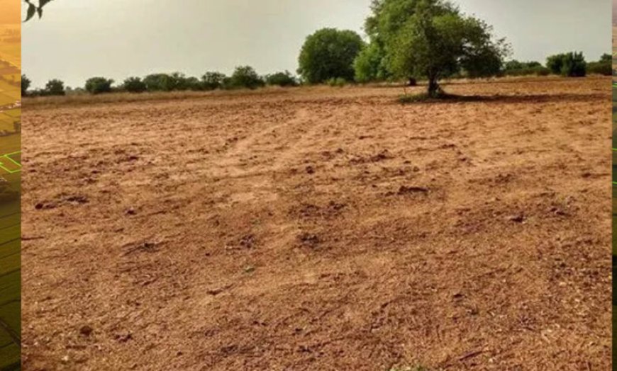 देश के बड़े शहरों में खत्म हो रही जमीन, बढ़ती आबादी के बीच कहां रहेंगे लोग?