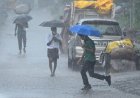 MP Weather Alert: ग्वालियर-चंबल में आज भारी बारिश, भिंड में रेड अलर्ट; उज्जैन-सागर भी होंगे तरबतर