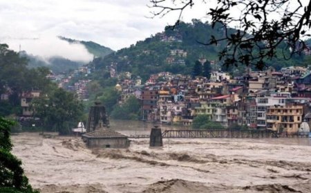 Himachal Rain: मॉनसून का कहर, 9 लोगों की मौत, 49 सड़कें बंद; बारिश-भूस्खलन से जनजीवन प्रभावित