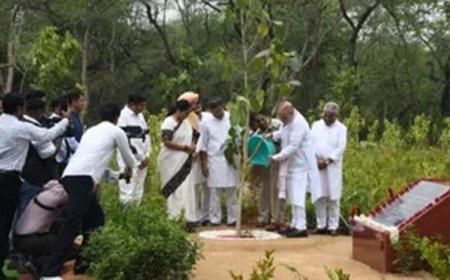 दिल्ली के रिज क्षेत्र की बदलेगी तस्वीर, 70 लाख पौधों से बनेगा राजधानी का हरित फेफड़ा