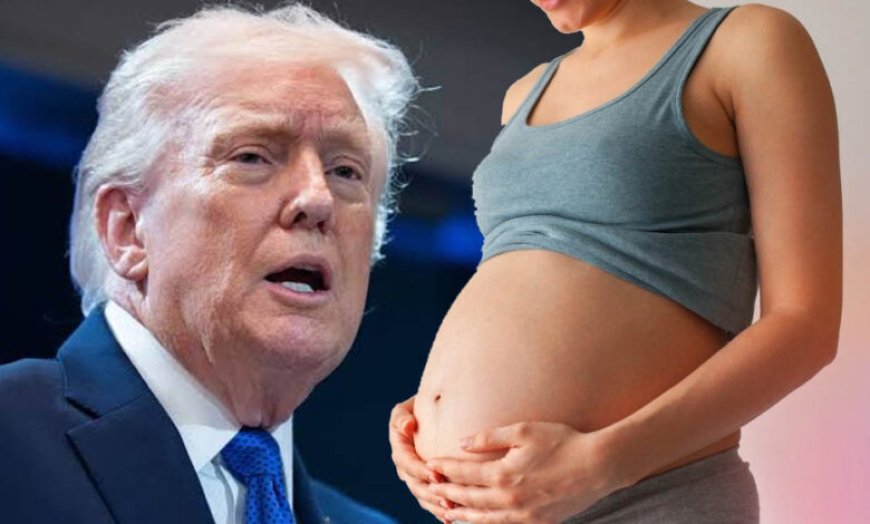 अमेरिका में गर्भवती विदेशी महिलाओं की एंट्री पर लग सकती है रोक, Birthright Citizenship के बाद ट्रंप का नया प्लान