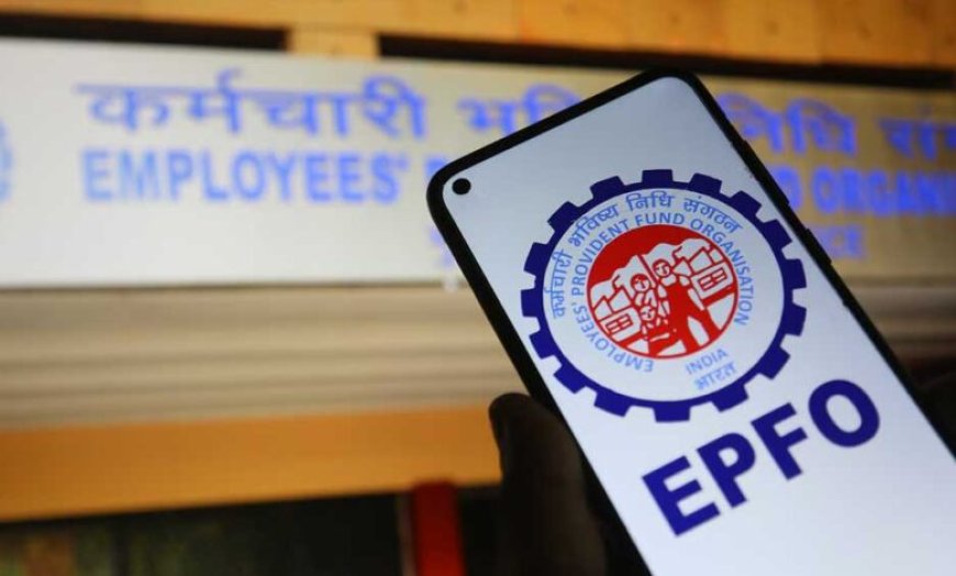 EPFO का बड़ा अपडेट! UAN Activation का तरीका बदला, वेबसाइट फिर हुई शुरू; जानिए नए नियम और सुविधाएं