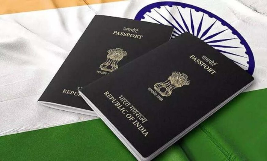 ग्लोबल पासपोर्ट इंडेक्स में भारत एक पायदान फिसला, 125वें स्थान पर पहुंचा