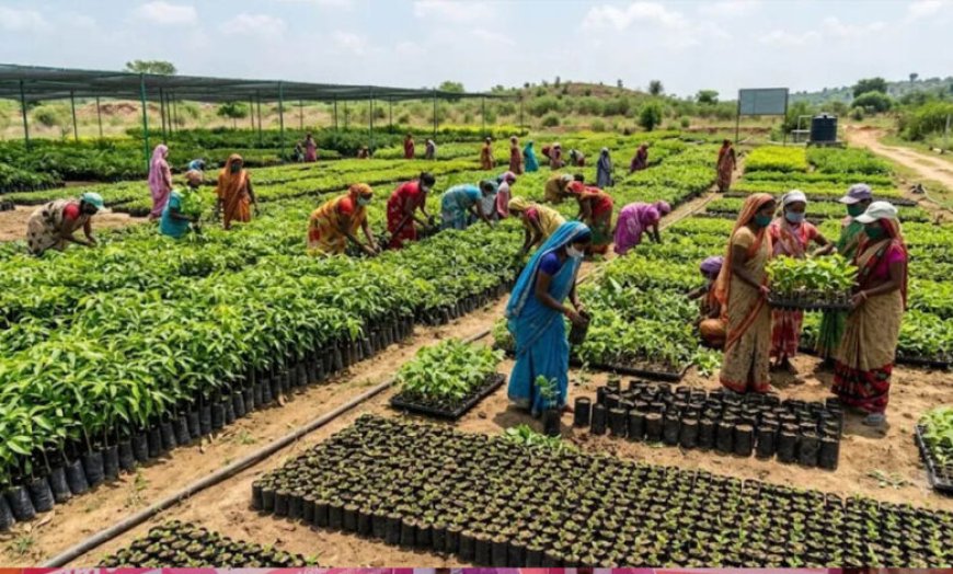 रोपने के लिए प्रदेश की 2600 से अधिक नर्सरियों में 57.62 करोड़ पौधे तैयार